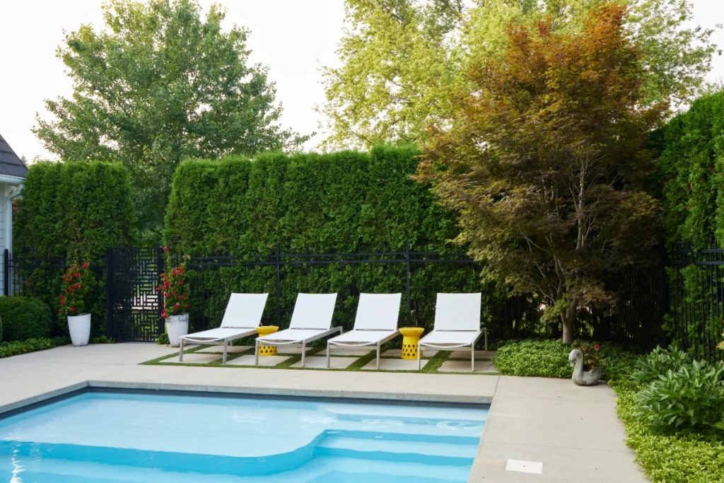 Why Choose Ted Lare for Pool Installation in Des Moines