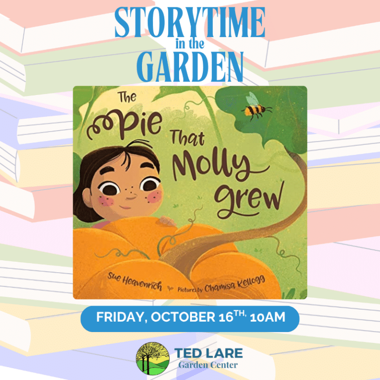 story time in the garden MAY 2026 (800 x 800 px) (2)