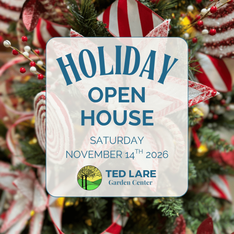 Holiday Open House 26 (1)